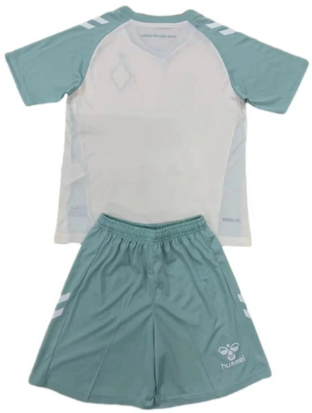 Sv-werder-bremen Child Jersey 2024 2025 - Jersey Sv-werder-bremen Child | Jersey Kit Arena