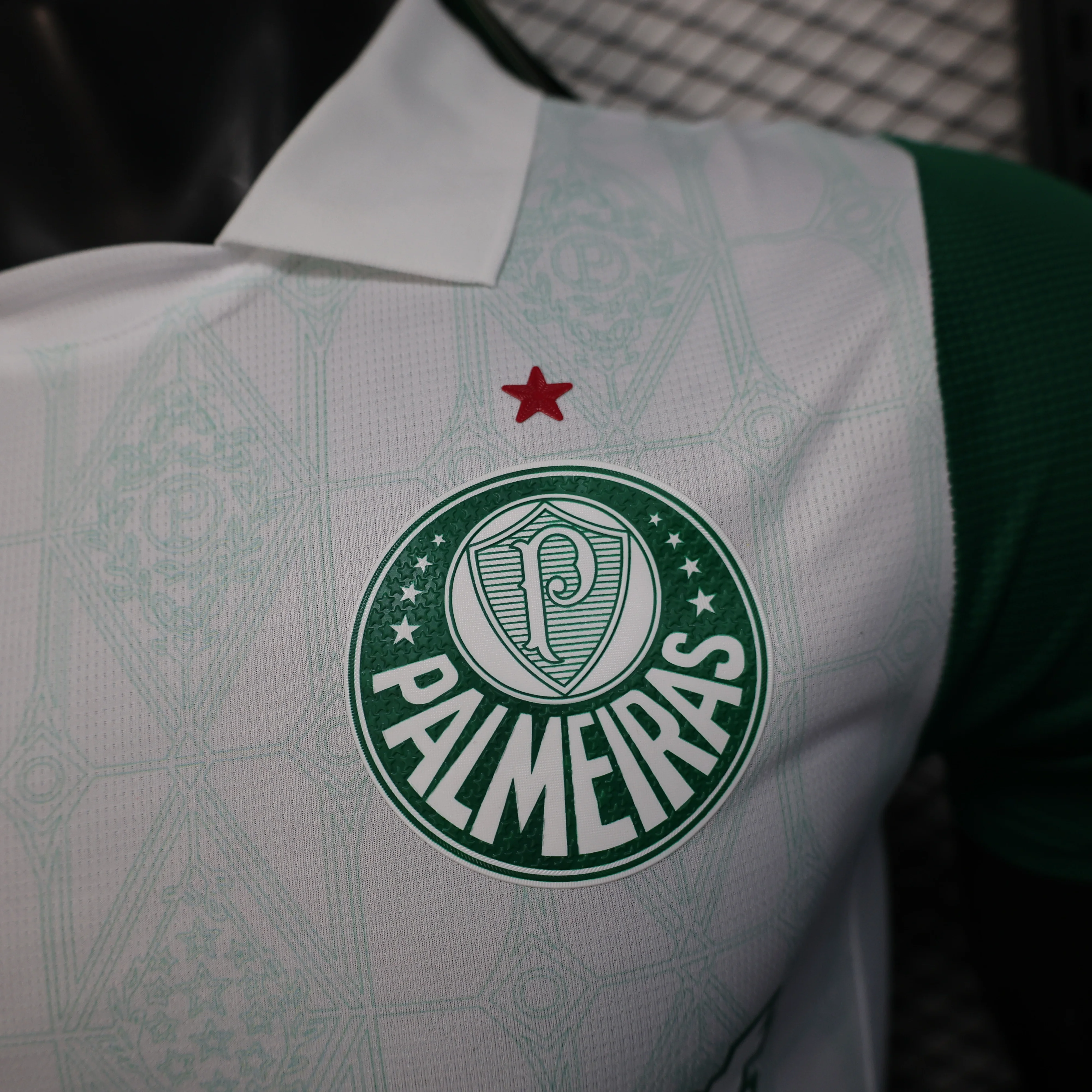 SE-Palmeiras Jersey 2025 2026 - Jersey SE-Palmeiras | Jersey Kit Arena
