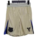 FC-Barcelona Pants 2025 2026 - Shorts FC-Barcelona | Jersey Kit Arena