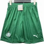 SE-Palmeiras Pants 2025 2026 - Shorts SE-Palmeiras | Jersey Kit Arena