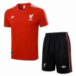 Liverpool Entrenamiento Jersey 2025 2026 - Jersey Liverpool Entrenamiento | Jersey Kit Arena