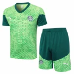 SE-Palmeiras Entrenamiento Jersey 2025 2026 - Jersey SE-Palmeiras Entrenamiento | Jersey Kit Arena