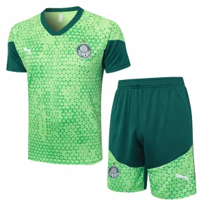 SE-Palmeiras Entrenamiento Jersey 2025 2026 - Jersey SE-Palmeiras Entrenamiento | Jersey Kit Arena