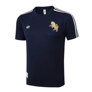 Juventus Entrenamiento Jersey 2025 2026 - Jersey Juventus Entrenamiento | Jersey Kit Arena