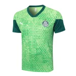 SE-Palmeiras Entrenamiento Jersey 2025 2026 - Jersey SE-Palmeiras Entrenamiento | Jersey Kit Arena