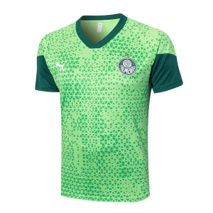 SE-Palmeiras Entrenamiento Jersey 2025 2026 - Jersey SE-Palmeiras Entrenamiento | Jersey Kit Arena