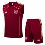 Arsenal Entrenamiento Jersey 2025 2026 - Jersey Arsenal Entrenamiento | Jersey Kit Arena