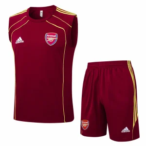 Arsenal Entrenamiento Jersey 2025 2026 - Jersey Arsenal Entrenamiento | Jersey Kit Arena