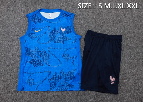 France Entrenamiento Jersey 2026 - Jersey France Entrenamiento | Jersey Kit Arena
