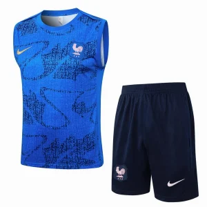 France Entrenamiento Jersey 2026 - Jersey France Entrenamiento | Jersey Kit Arena