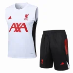 Liverpool Entrenamiento Jersey 2025 2026 - Jersey Liverpool Entrenamiento | Jersey Kit Arena