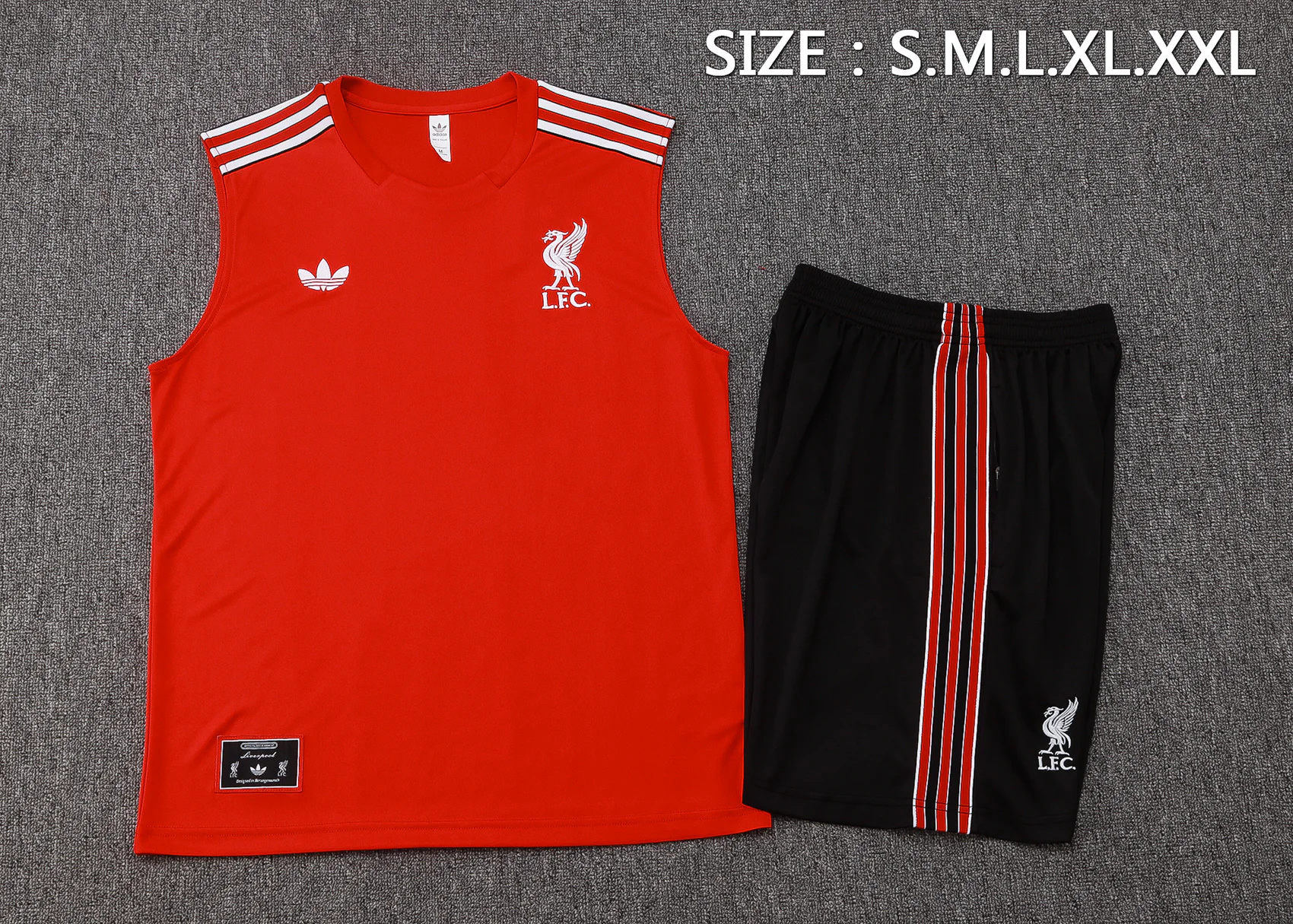 Liverpool Entrenamiento Jersey 2025 2026 - Jersey Liverpool Entrenamiento | Jersey Kit Arena