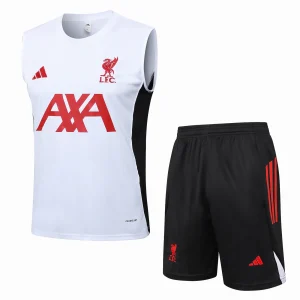 Liverpool Entrenamiento Jersey 2025 2026 - Jersey Liverpool Entrenamiento | Jersey Kit Arena