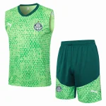 SE-Palmeiras Entrenamiento Jersey 2025 2026 - Jersey SE-Palmeiras Entrenamiento | Jersey Kit Arena
