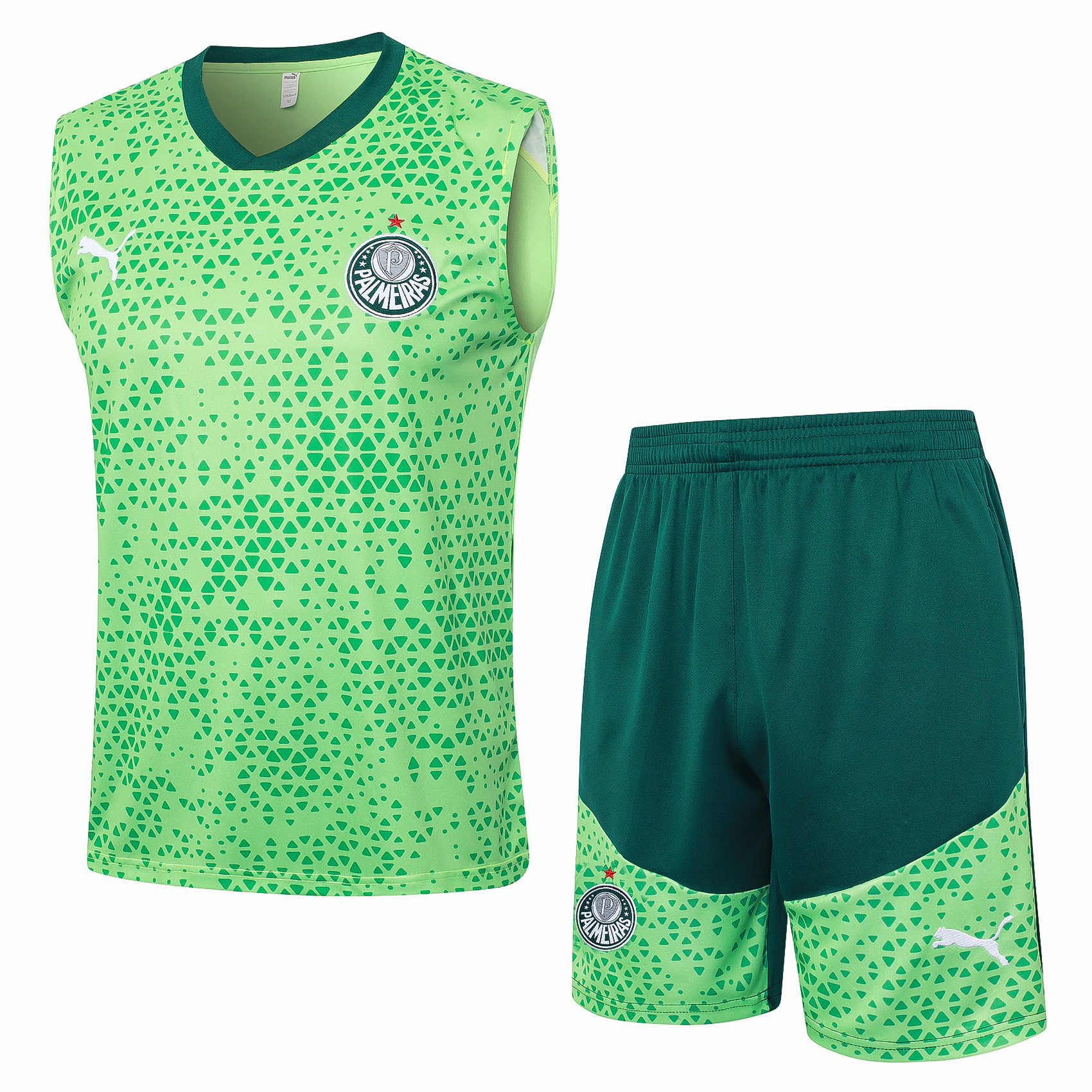 SE-Palmeiras Entrenamiento Jersey 2025 2026 - Jersey SE-Palmeiras Entrenamiento | Jersey Kit Arena