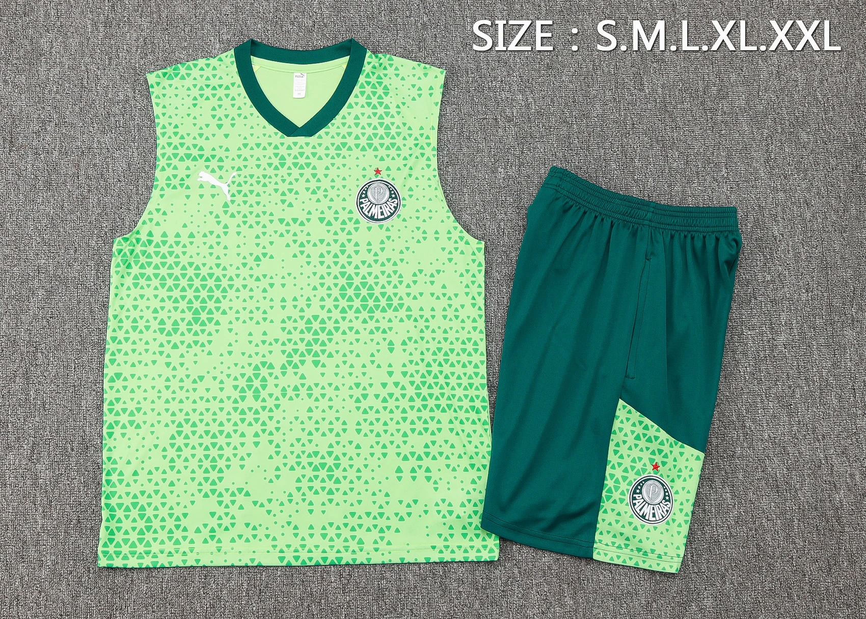 SE-Palmeiras Entrenamiento Jersey 2025 2026 - Jersey SE-Palmeiras Entrenamiento | Jersey Kit Arena