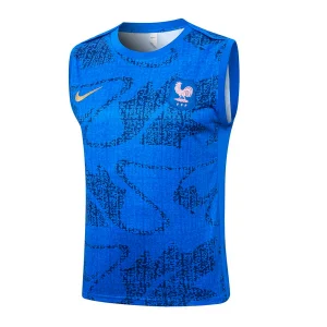 France Entrenamiento Jersey 2026 - Jersey France Entrenamiento | Jersey Kit Arena