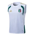Italy Entrenamiento Jersey 2026 - Jersey Italy Entrenamiento | Jersey Kit Arena