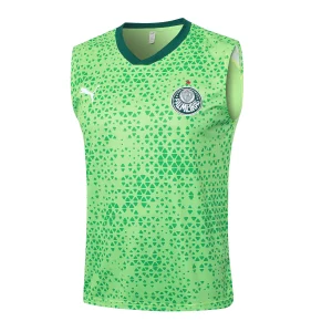 SE-Palmeiras Entrenamiento Jersey 2025 2026 - Jersey SE-Palmeiras Entrenamiento | Jersey Kit Arena