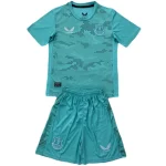 Everton Child Jersey 2024 2025 - Jersey Everton Child | Jersey Kit Arena