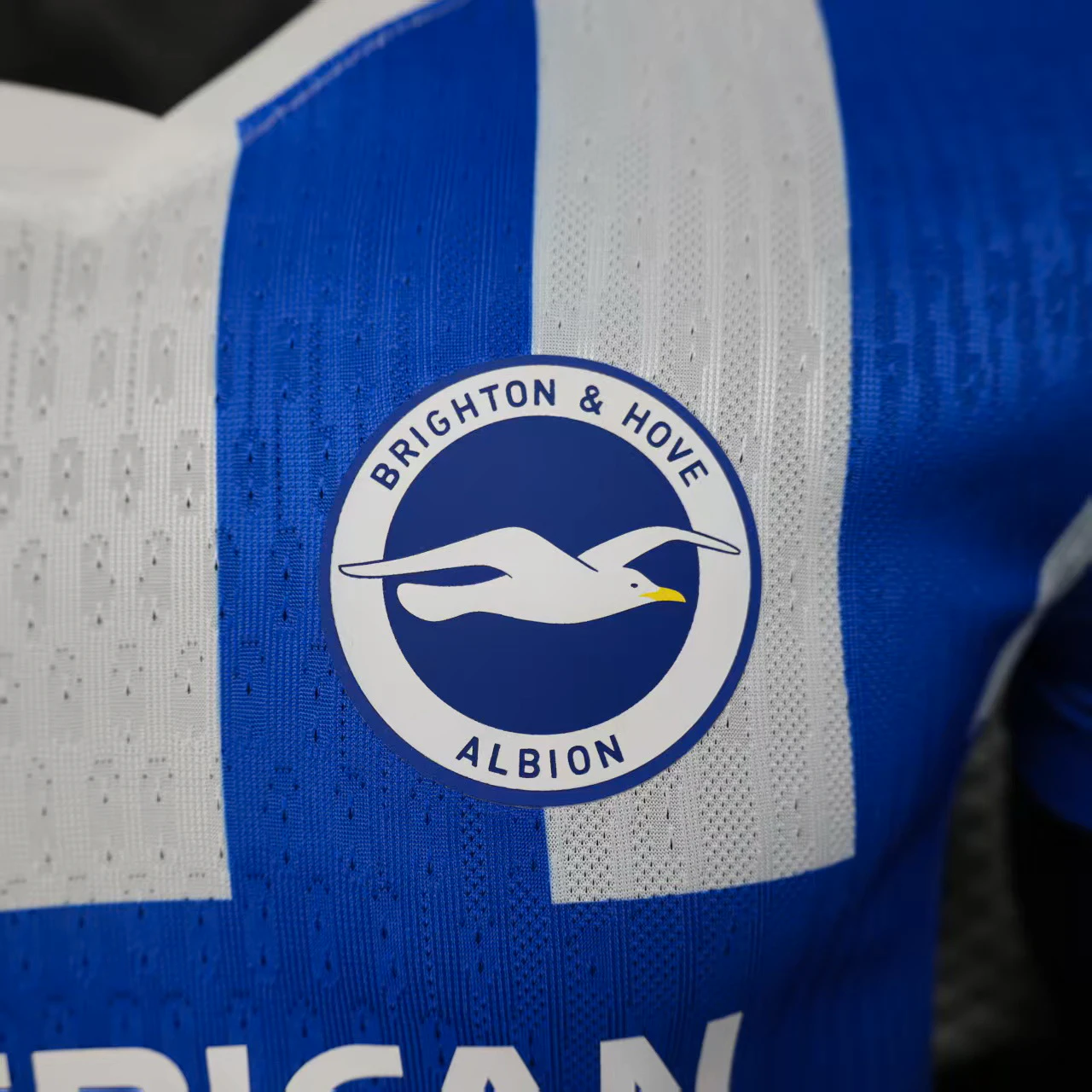 Brighton-&-hove-albion Jersey 2025 2026 - Jersey Brighton-&-hove-albion | Jersey Kit Arena