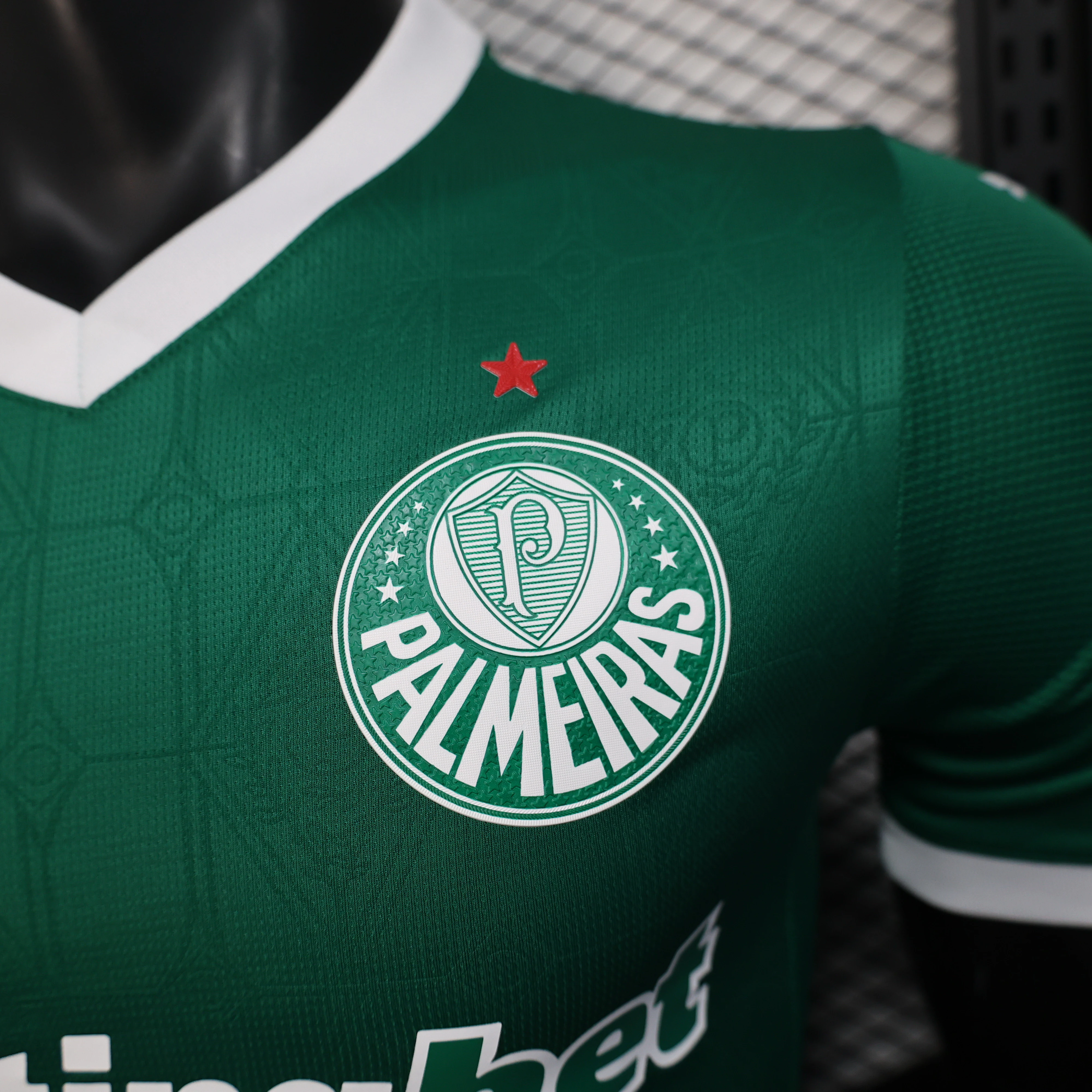 SE-Palmeiras Jersey 2025 2026 - Jersey SE-Palmeiras | Jersey Kit Arena