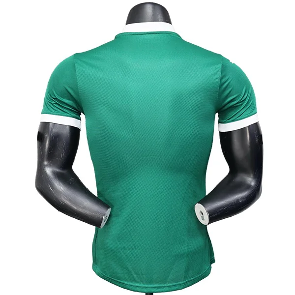 SE-Palmeiras Jersey 2025 2026 - Jersey SE-Palmeiras | Jersey Kit Arena