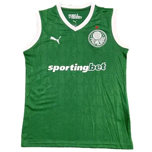 SE-Palmeiras Jersey 2025 2026 - Jersey SE-Palmeiras | Jersey Kit Arena
