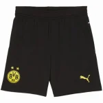 Borussia-dortmund Pants 2024 2025 - Shorts Borussia-dortmund | Jersey Kit Arena