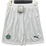 SE-Palmeiras Pants 2025 2026 - Shorts SE-Palmeiras | Jersey Kit Arena