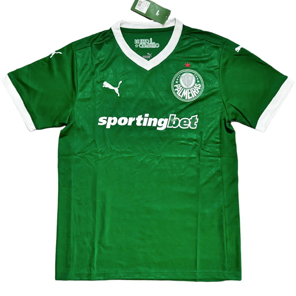SE-Palmeiras Jersey 2025 2026 - Jersey SE-Palmeiras | Jersey Kit Arena