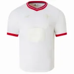 Lille-OSC Jersey 2024 2025 - Jersey Lille-OSC | Jersey Kit Arena