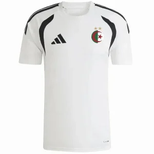 Algeria Entrenamiento Jersey 2026 - Jersey Algeria Entrenamiento | Jersey Kit Arena