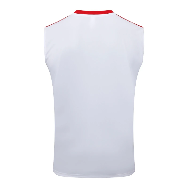Bayern-munich Entrenamiento Jersey 2025 2026 - Jersey Bayern-munich Entrenamiento | Jersey Kit Arena