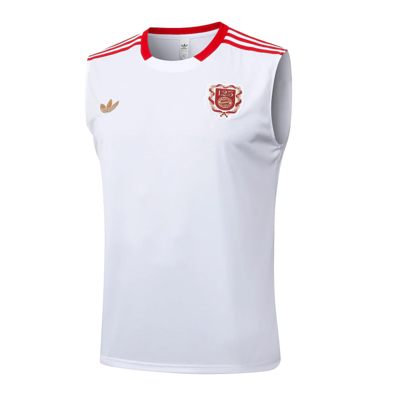 Bayern-munich Entrenamiento Jersey 2025 2026 - Jersey Bayern-munich Entrenamiento | Jersey Kit Arena