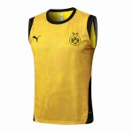 Borussia-dortmund Entrenamiento Jersey 2025 2026 - Jersey Borussia-dortmund Entrenamiento | Jersey Kit Arena