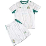 Senegal Child Jersey 2026 - Jersey Senegal Child | Jersey Kit Arena
