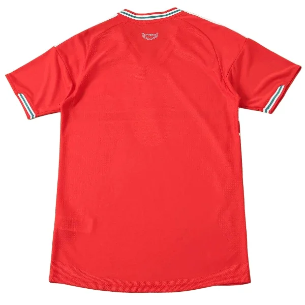 Wales Jersey 2026 - Jersey Wales | Jersey Kit Arena