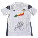Benin Jersey 2023 - Jersey Benin | Jersey Kit Arena