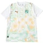 Ivory-coast Jersey 2026 - Jersey Ivory-coast | Jersey Kit Arena