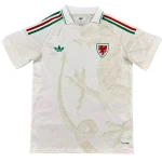 Wales Jersey 2026 - Jersey Wales | Jersey Kit Arena