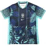 Brazil Jersey 2026 - Jersey Brazil | Jersey Kit Arena