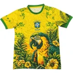 Brazil Jersey 2026 - Jersey Brazil | Jersey Kit Arena