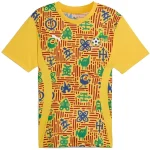 Ghana Jersey 2025 - Jersey Ghana | Jersey Kit Arena