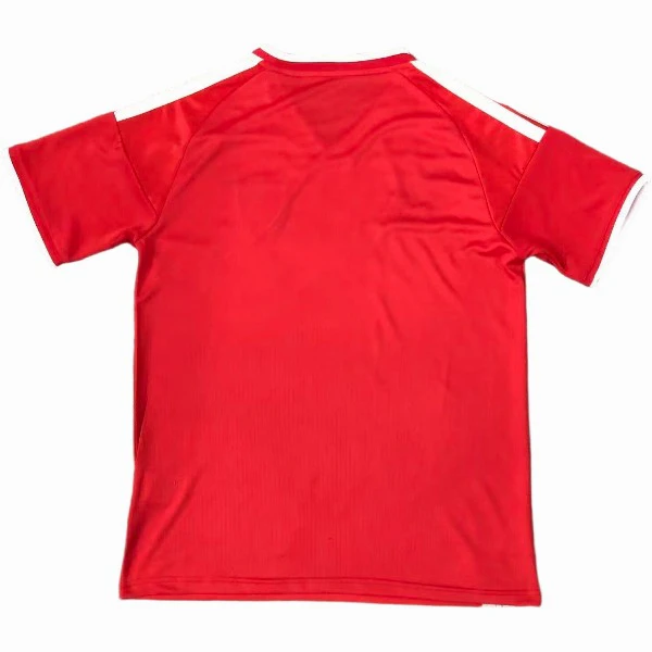 Wales Jersey 2026 - Jersey Wales | Jersey Kit Arena